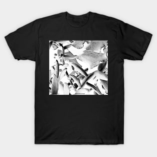 Succulents 1 T-Shirt